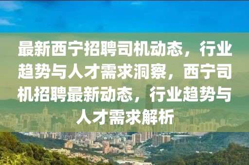 最新西宁招聘司机中山市多米克自动化设备有限公司动态,行业趋势与人才需求洞察,西宁司机招聘最新动态,行业趋势与人才需求解析