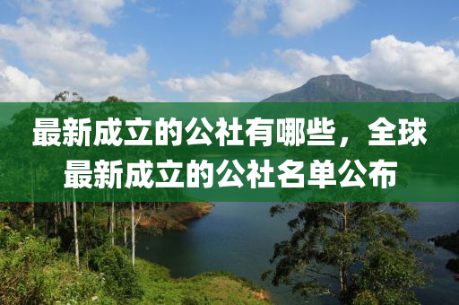 最新成立的公社有哪些,全球最新成立的公社名单公布中山市多米克自动化设备有限公司
