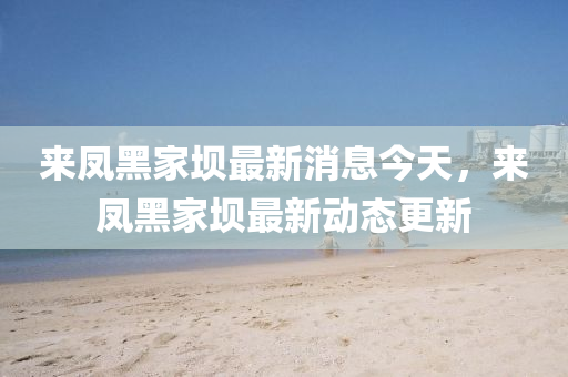 来凤黑家坝最新消息今天,来凤黑家坝最新动态更新中山市多米克自动化设备有限公司