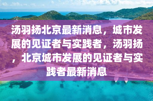 汤羽扬北京最新消息,城市发展的见证者与实践者,汤羽扬,北京城市发展的见证者与实践者最新消息中山市多米克自动化设备有限公司