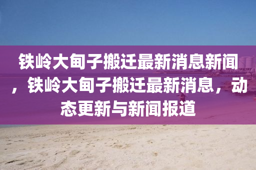 铁岭大甸子搬迁最新消息新闻,铁岭大甸子搬迁最新消息,动态更新与新闻报道中山市多米克自动化设备有限公司