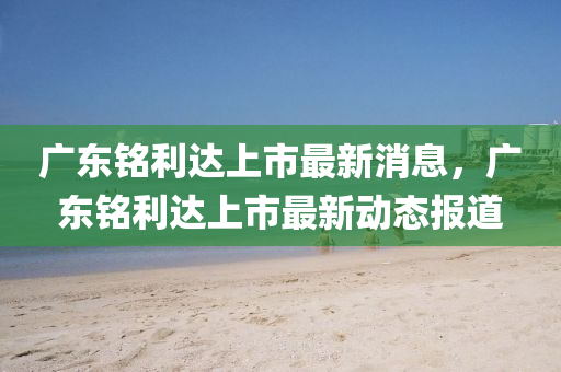 广东铭利达上市最新消息,广东铭利达上市最新动态报道中山市多米克自动化设备有限公司