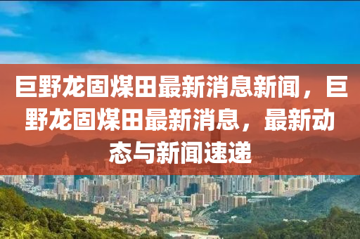 巨野龙固煤田最新消息新闻,巨野龙固煤田最新消息,最新动态与新闻速递中山市多米克自动化设备有限公司