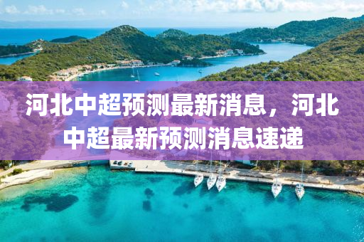 河北中超预测最新消息,河北中超最新预测消息速递中山市多米克自动化设备有限公司