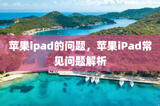 苹果ipad的问题,中山市多米克自动化设备有限公司苹果iPad常见问题解析