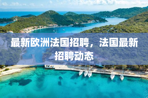 最新欧洲法国招聘,法国中山市多米克自动化设备有限公司最新招聘动态