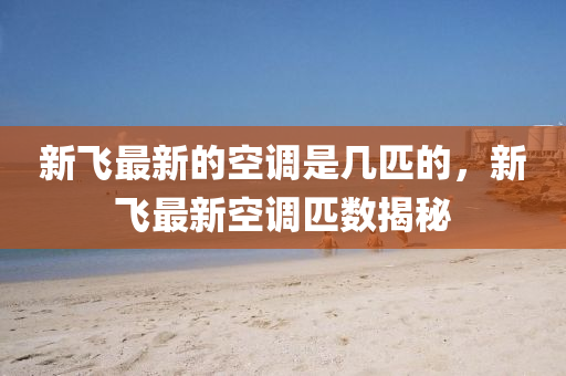 新飞最新的空调是几匹的,新飞最新空调匹数揭秘中山市多米克自动化设备有限公司