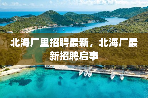 北海厂里招聘最新,北海厂最新招聘启事中山市多米克自动化设备有限公司