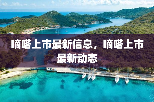 嘀嗒上市最新信息,嘀嗒上市最新动中山市多米克自动化设备有限公司态